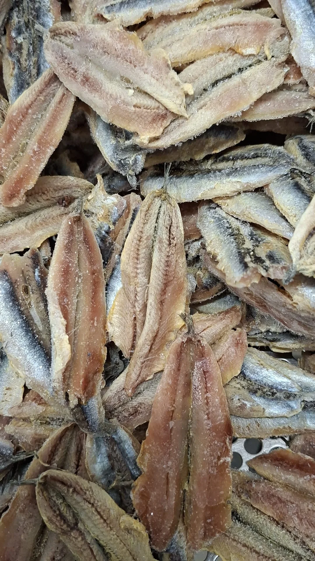 Anchovies, from the FrozenFish product archive