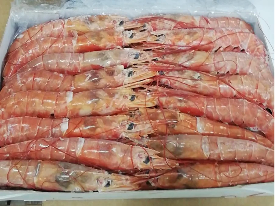 Argentine red shrimp, from the FrozenFish product archive