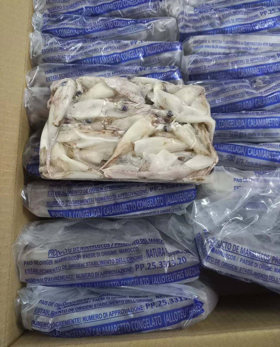 Baby squid, from the FrozenFish product archive