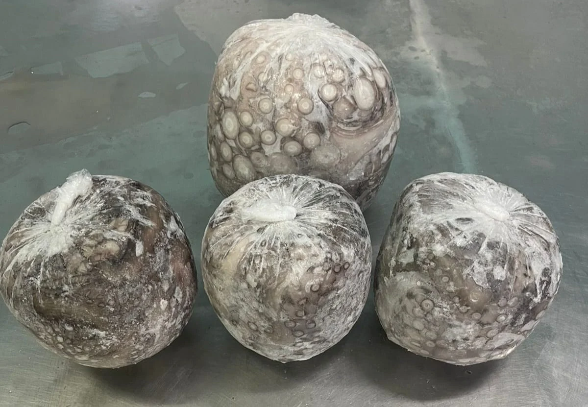 Frozen octopus in ball presentation, supplied by FrozenFish