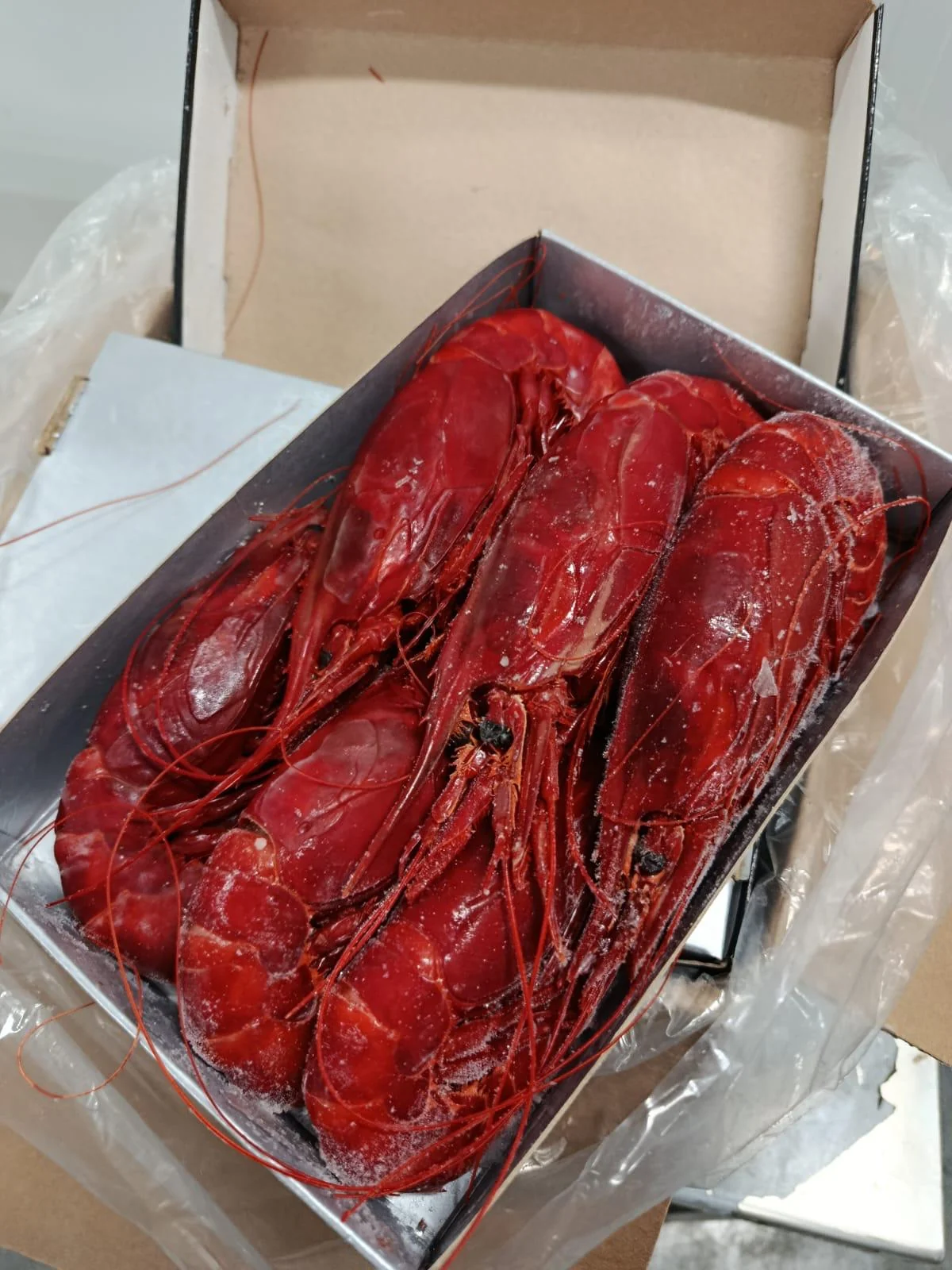 Whole Carabineros red prawns supplied by FrozenFish
