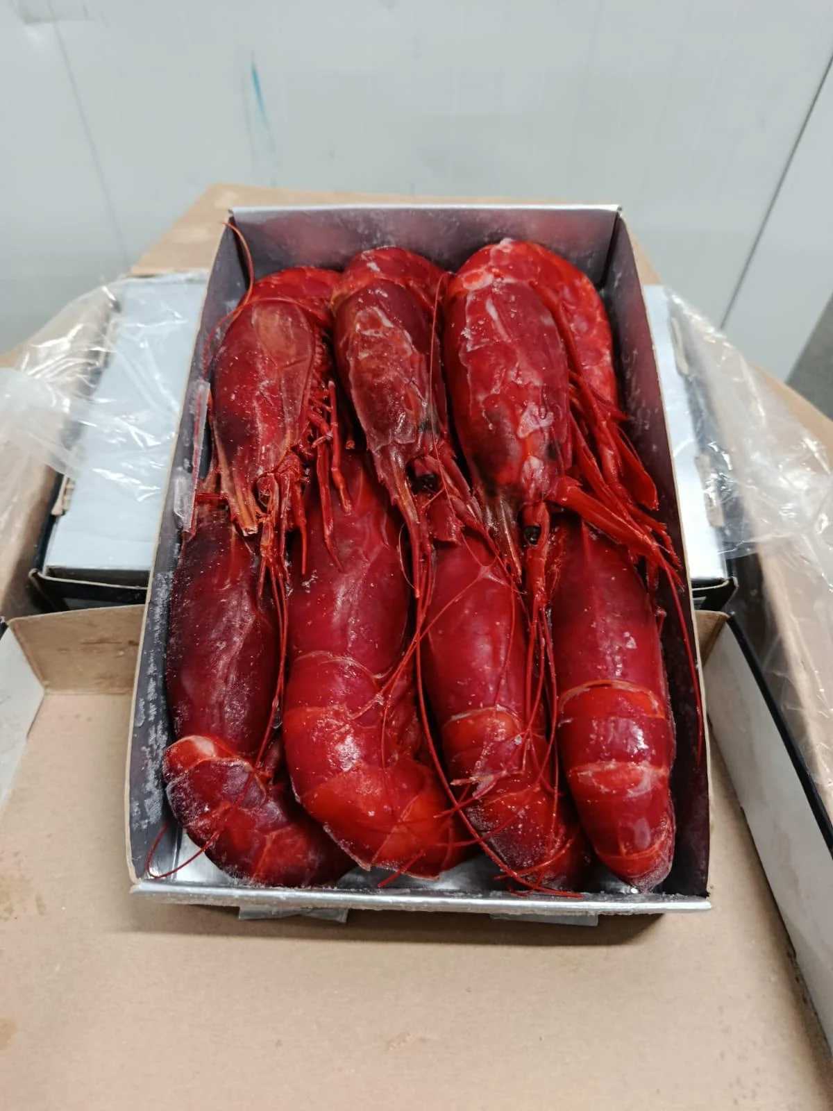 Boxed whole Carabineros red prawns