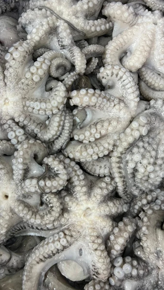Cleaned octopus — FrozenFish product archive