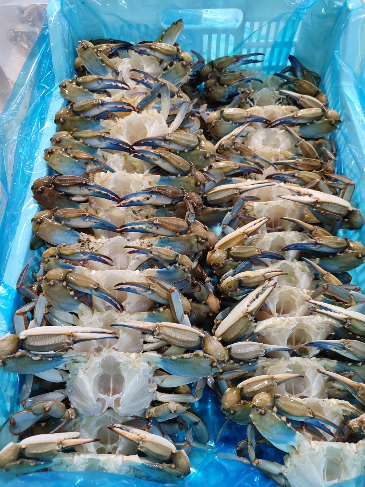 Crab, from the FrozenFish product archive