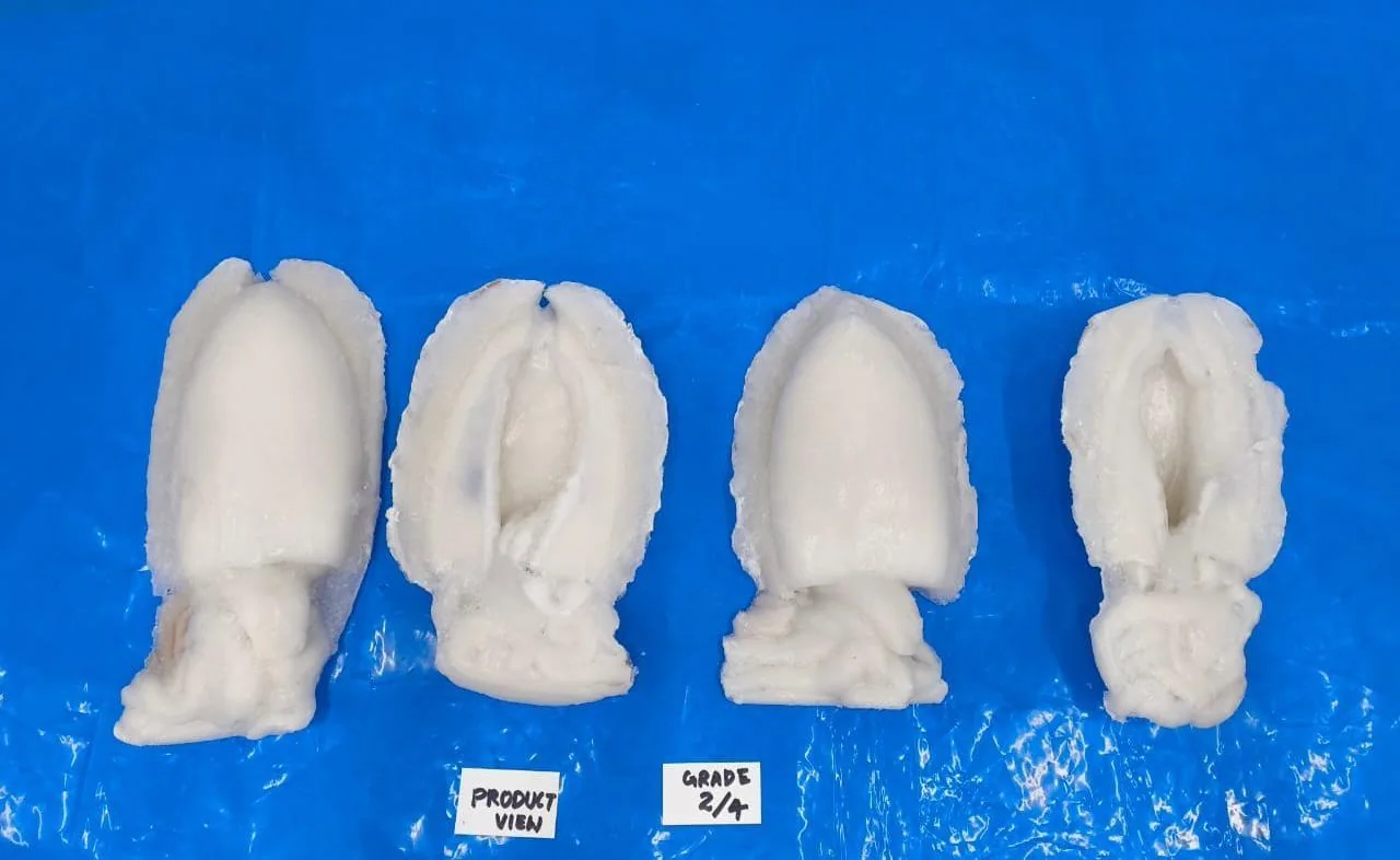 Cleaned cuttlefish grading