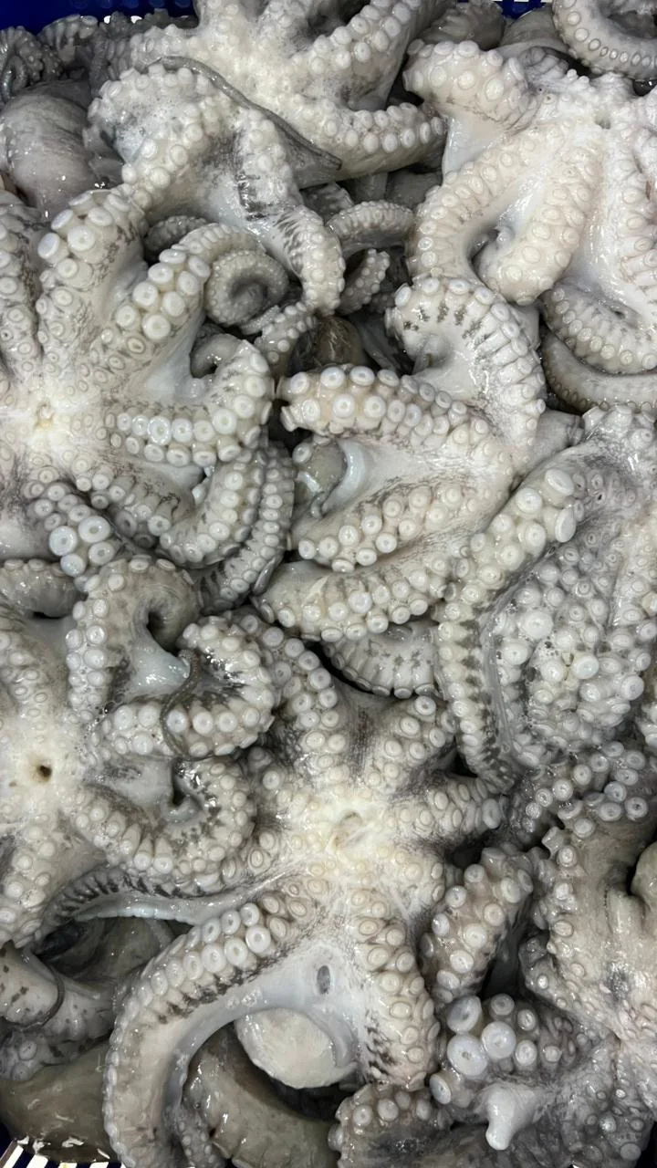 Octopus in flower, ball and block: what to specify