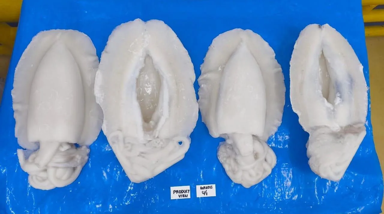 Large cuttlefish, from the FrozenFish product archive