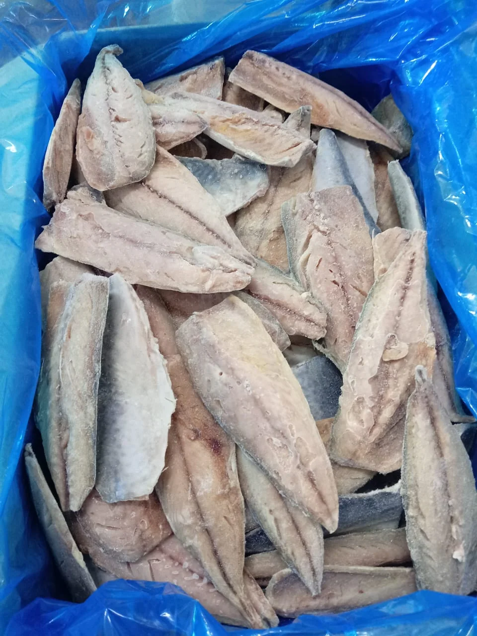 Mackerel, from the FrozenFish product archive