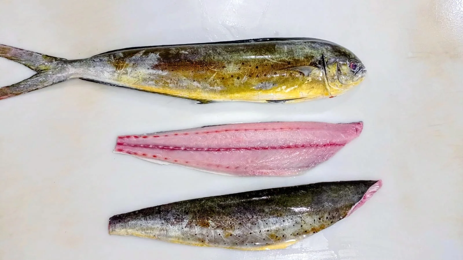 Mahi mahi from the FrozenFish product archive