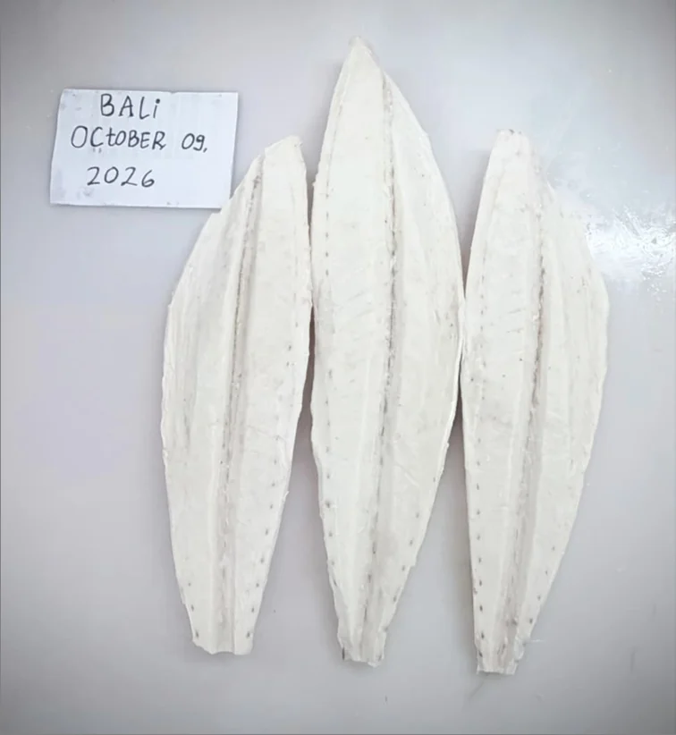 Oilfish sample cuts supplied by FrozenFish