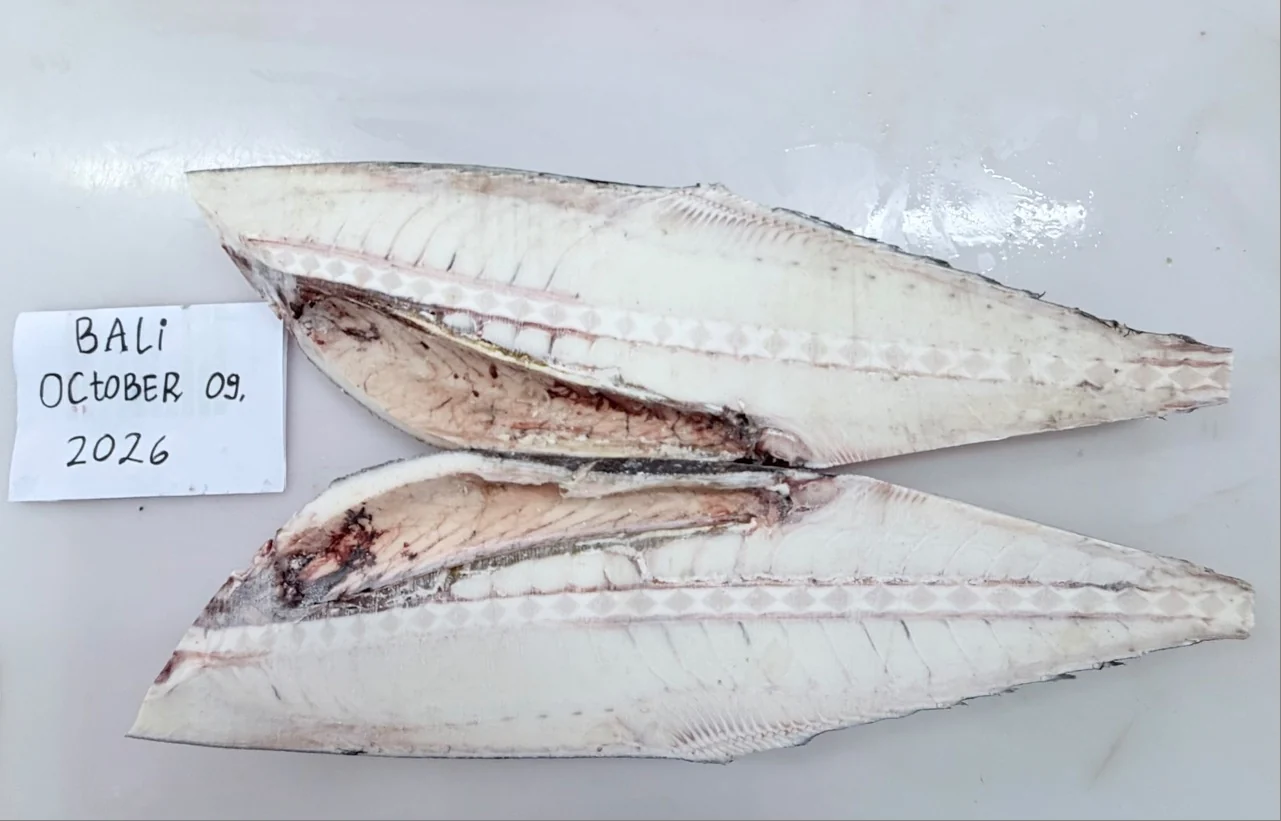 Split oilfish product samples