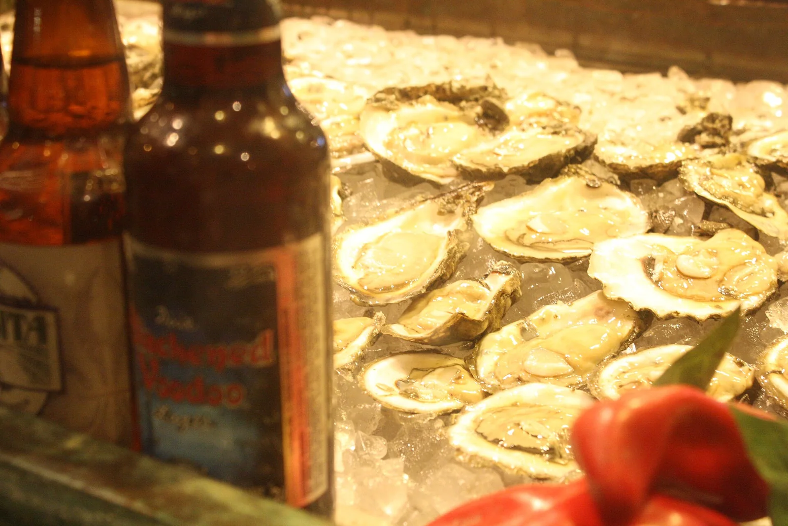 Oysters, species reference photograph