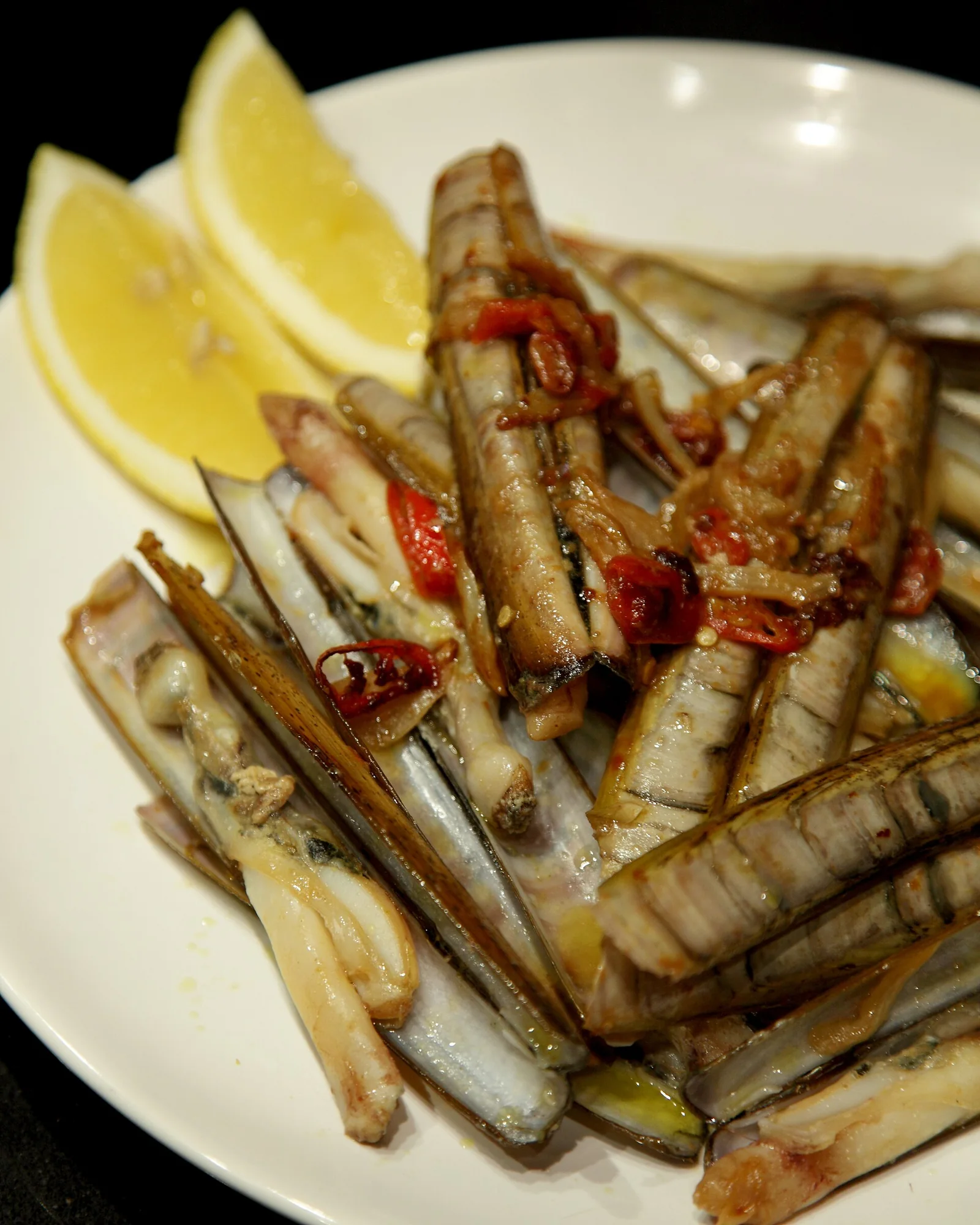 Razor clams, species reference photograph