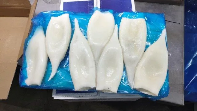 Cleaned squid tubes