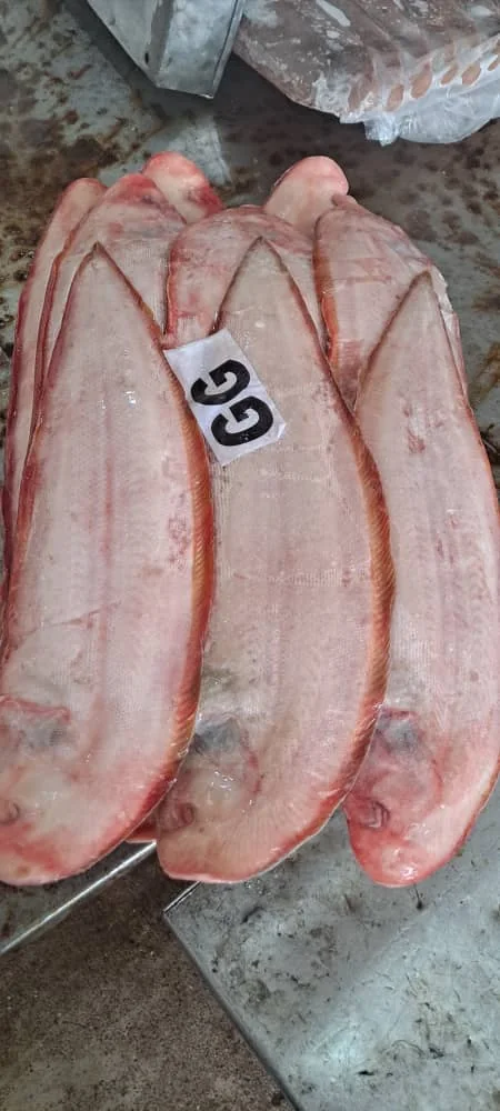 Tonguefish, from the FrozenFish product archive