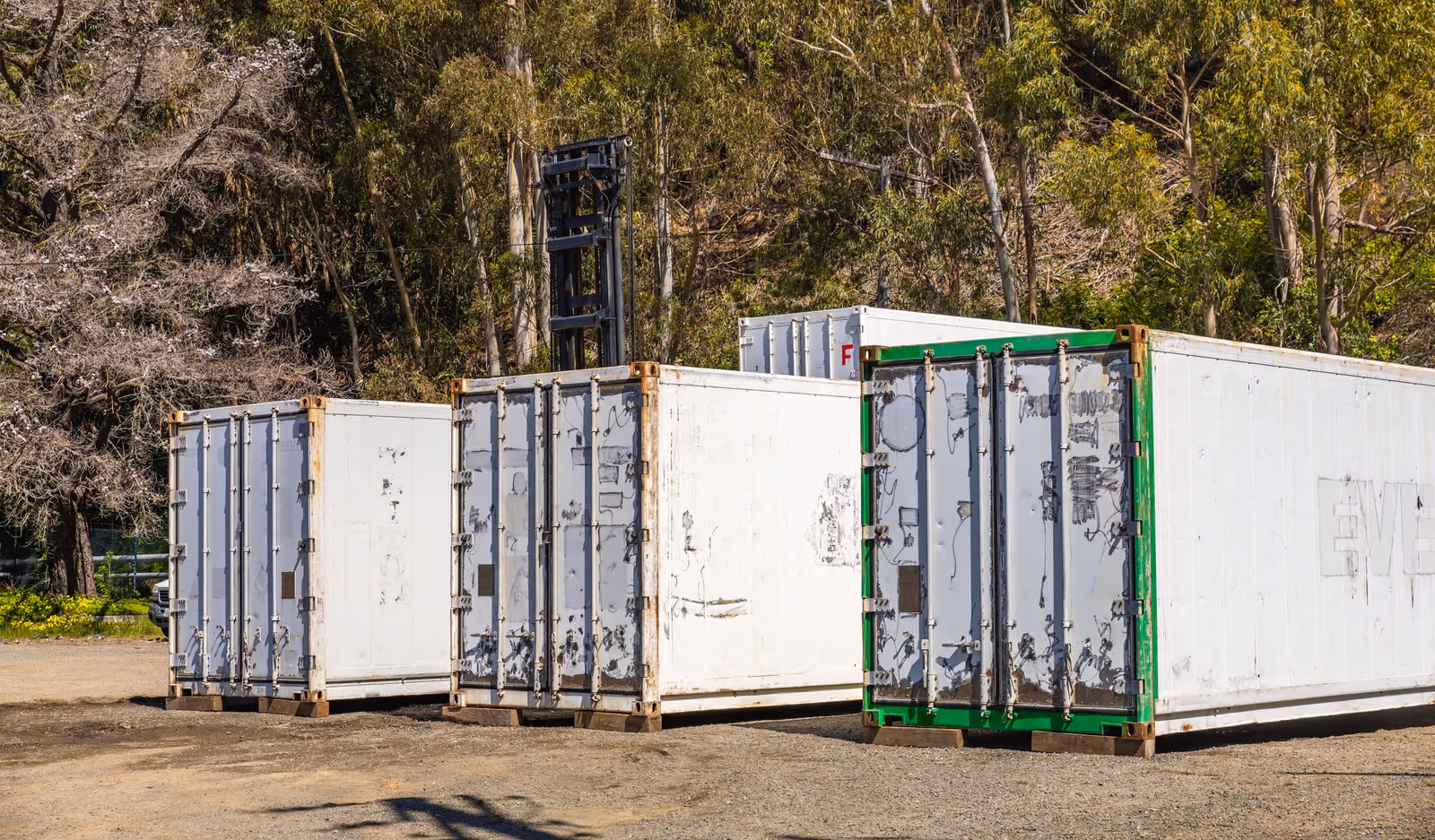 A row of white refrigerated shipping containers standing on a gravel yard in front of trees