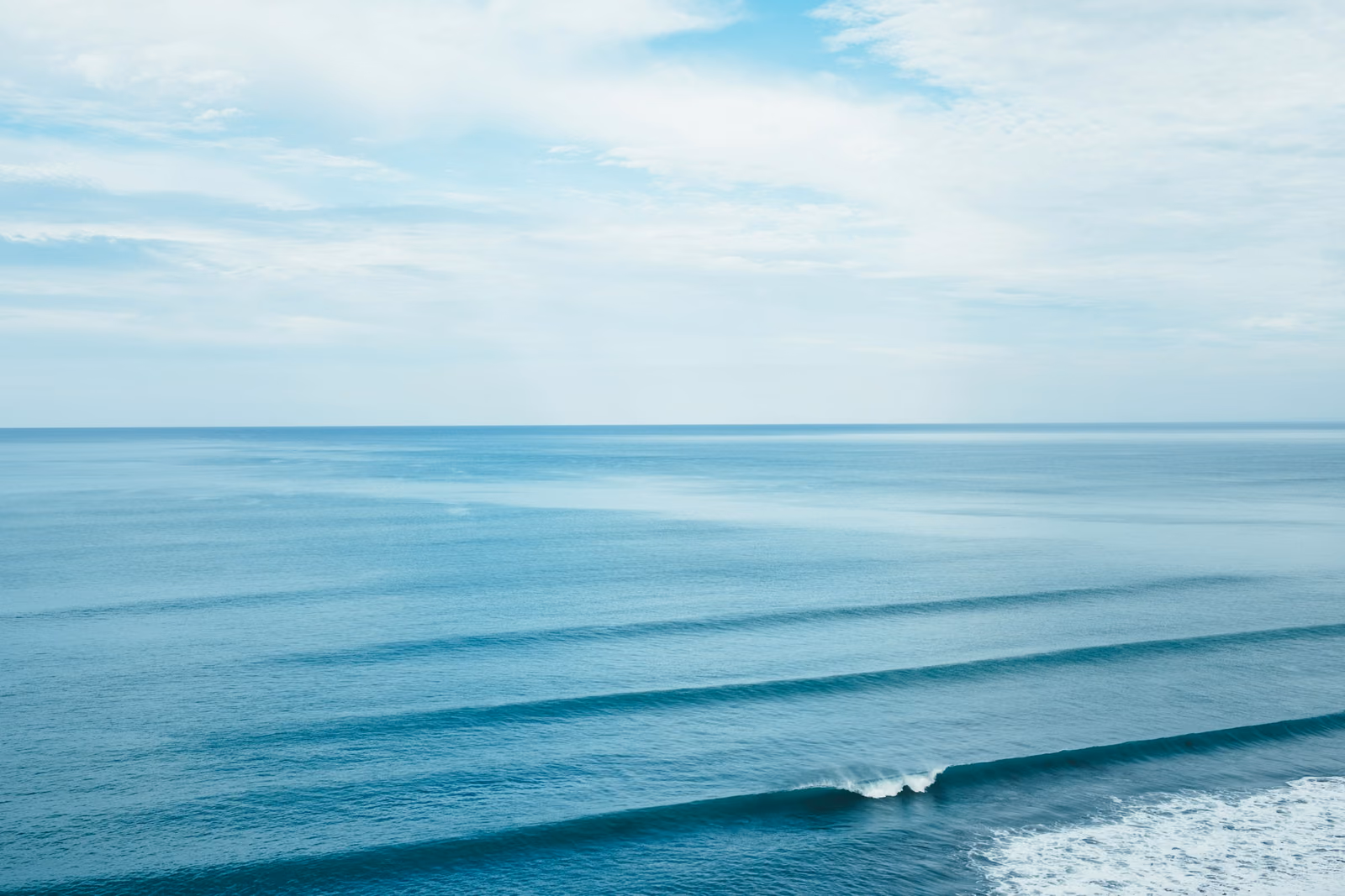 A calm sea under a pale sky with a low swell rolling toward the horizon